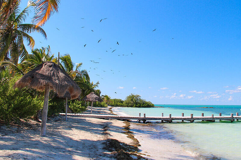 4-worlds-expeditions-contoy-private-tour-thumb