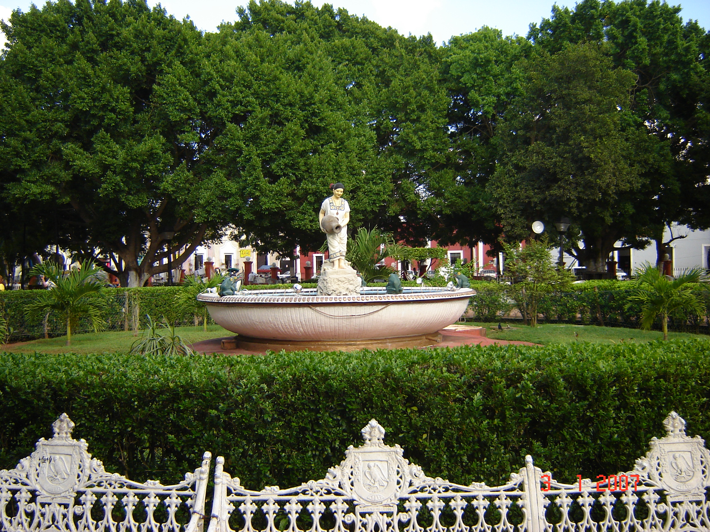 DSC00653