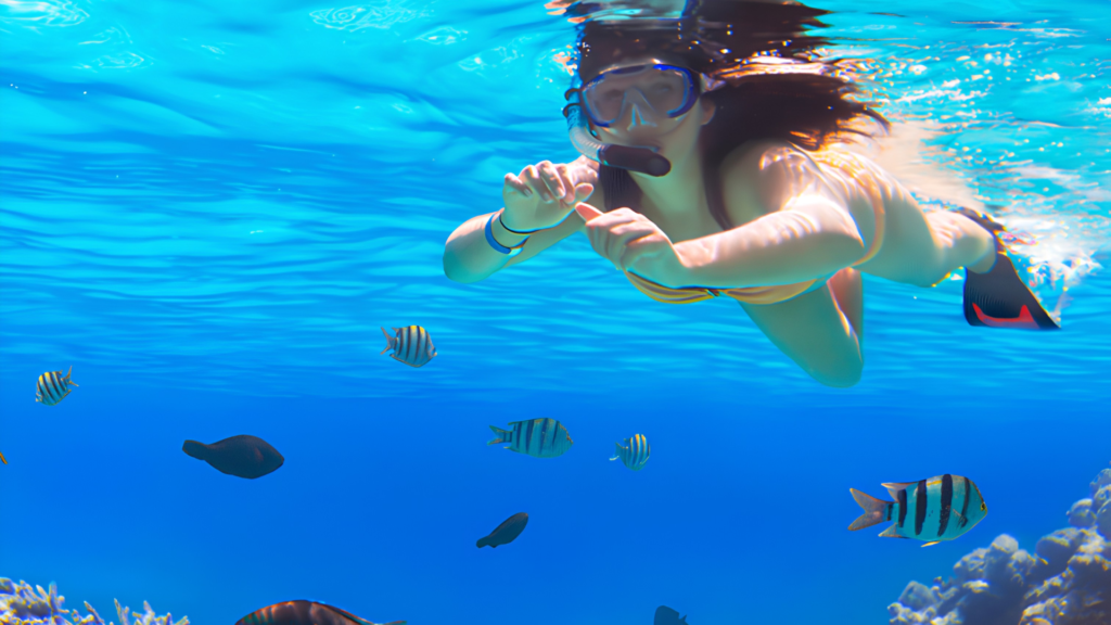 sea snorkeling & cave expedition