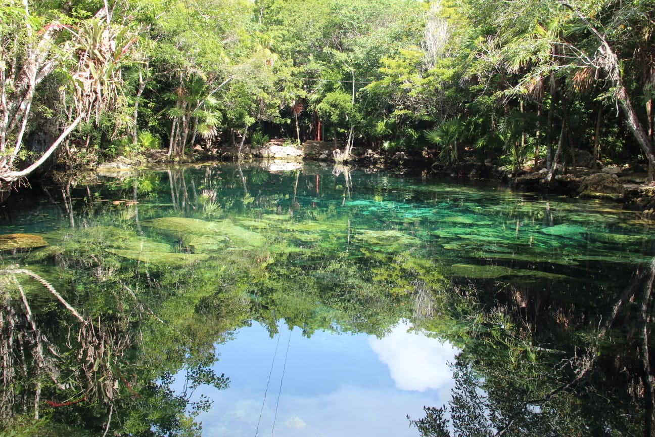 morning escape hidden cenote 4we13