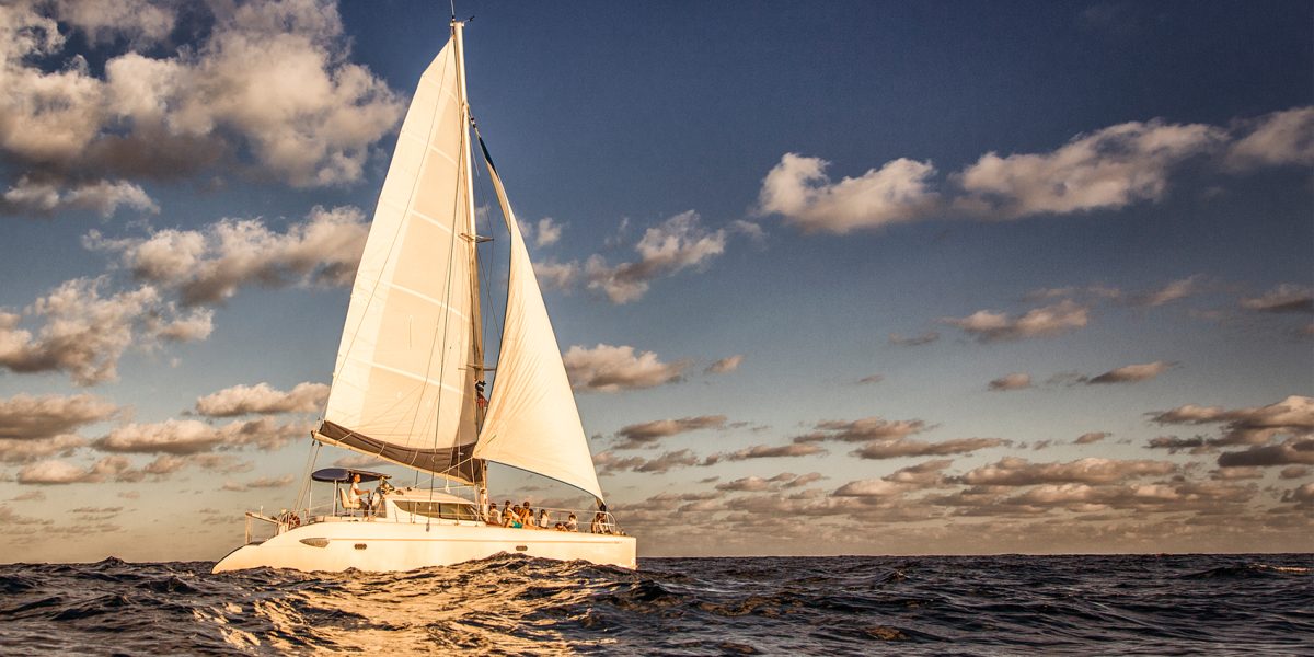 Copy of CATAMARAN 1
